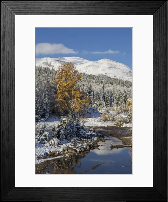 Framed Print : DDE-90039169 Framed Print : DDE-90039169