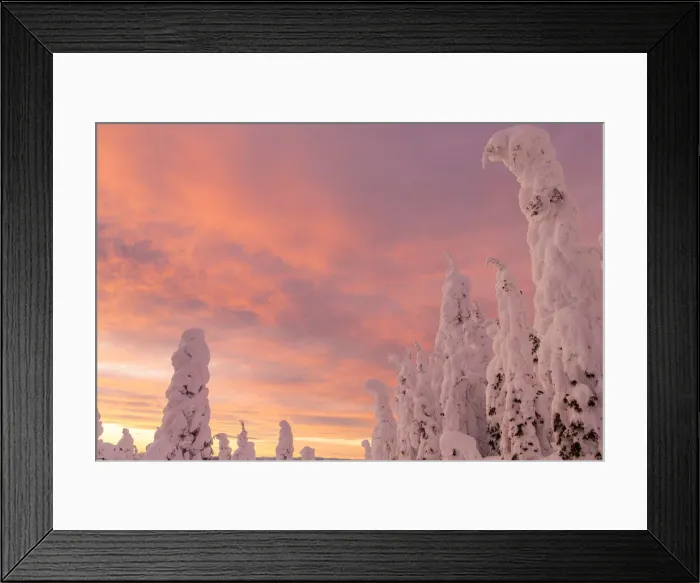 Framed Print : DDE-90039177 Framed Print : DDE-90039177