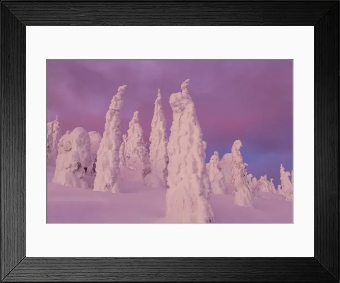 Framed Print : DDE-90039178 Framed Print : DDE-90039178