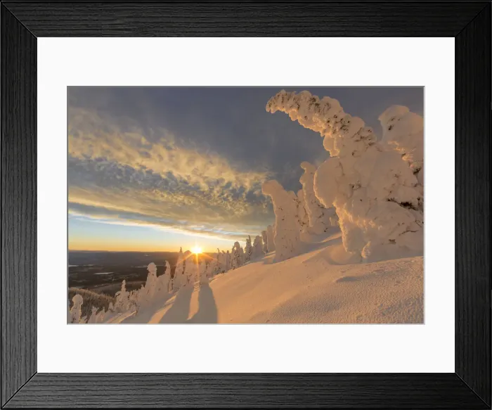 Framed Print : DDE-90039180