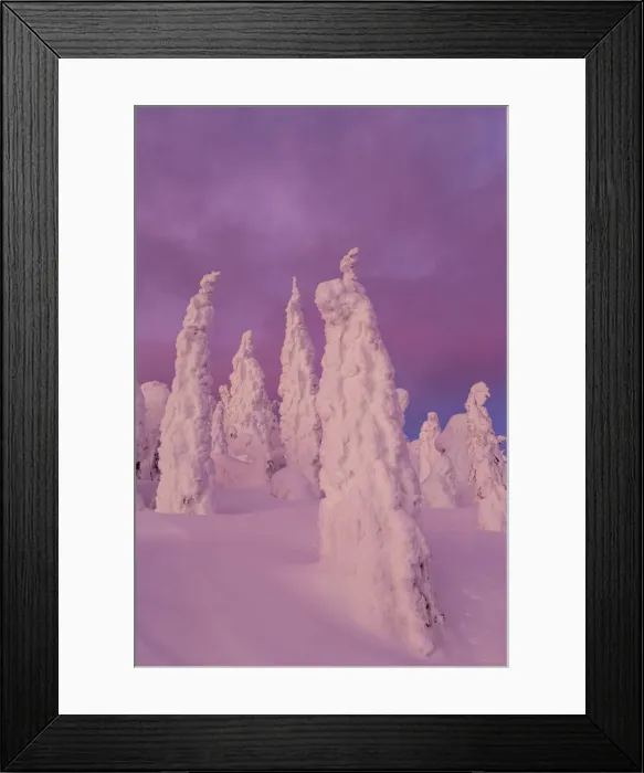 Framed Print : DDE-90039181 Framed Print : DDE-90039181
