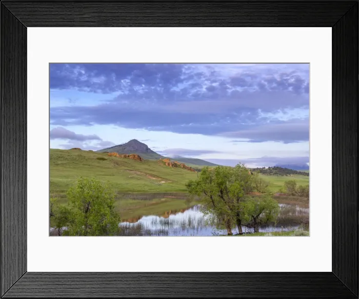 Framed Print : DDE-90039185