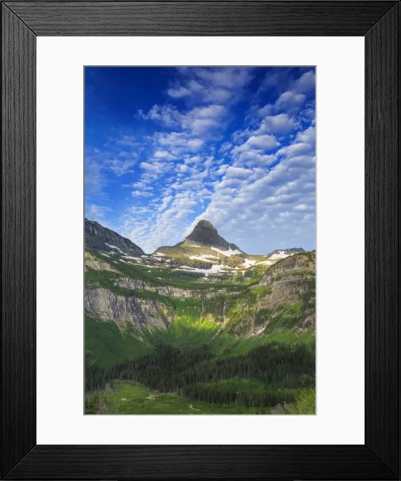 Framed Print : DDE-90039190