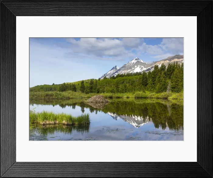 Framed Print : DDE-90039191 Framed Print : DDE-90039191