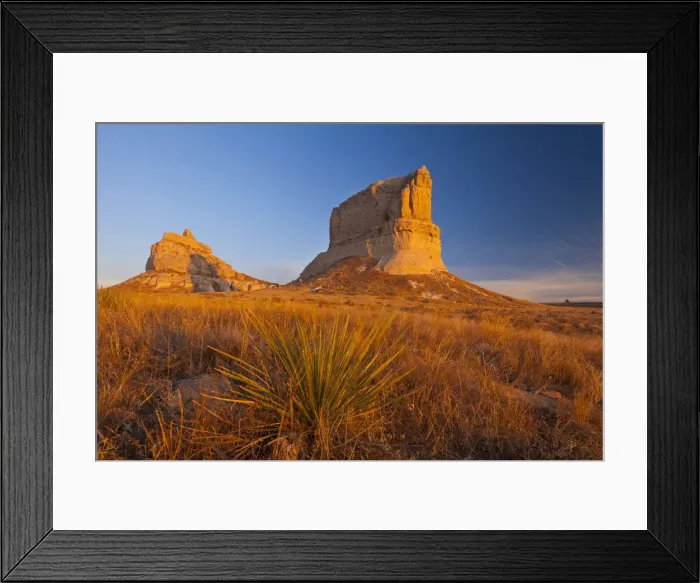 Framed Print : DDE-90039204 Framed Print : DDE-90039204