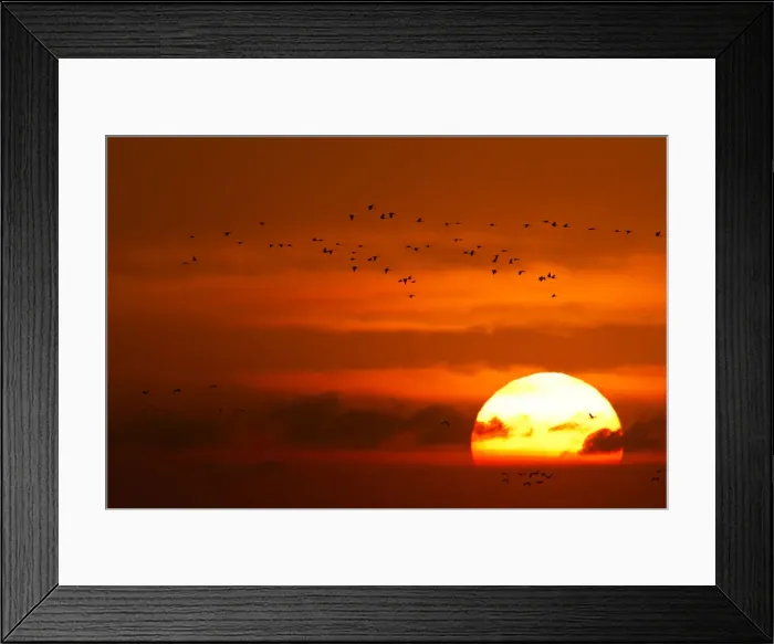 Framed Print : DDE-90039205 Framed Print : DDE-90039205