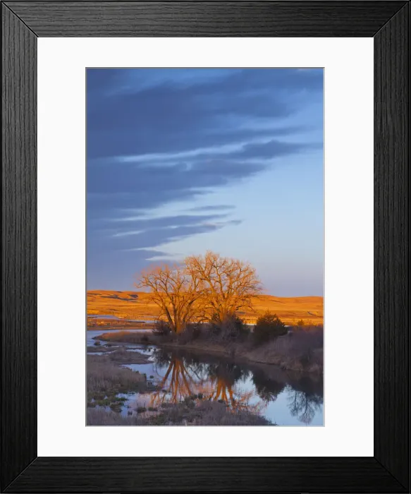 Framed Print : DDE-90039210 Framed Print : DDE-90039210