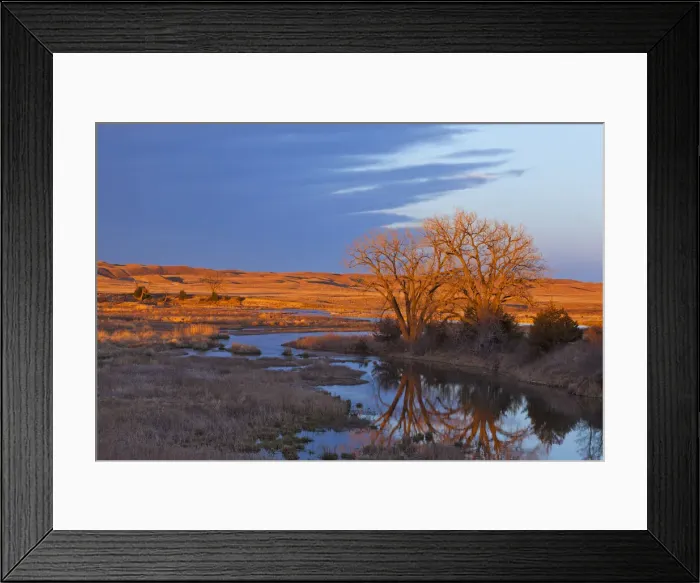Framed Print : DDE-90039209 Framed Print : DDE-90039209