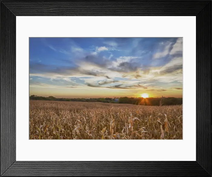Framed Print : DDE-90039211