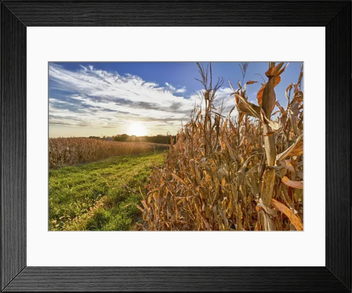 Framed Print : DDE-90039212 Framed Print : DDE-90039212