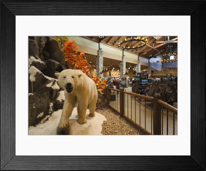 Framed Print : DDE-90039213 Framed Print : DDE-90039213