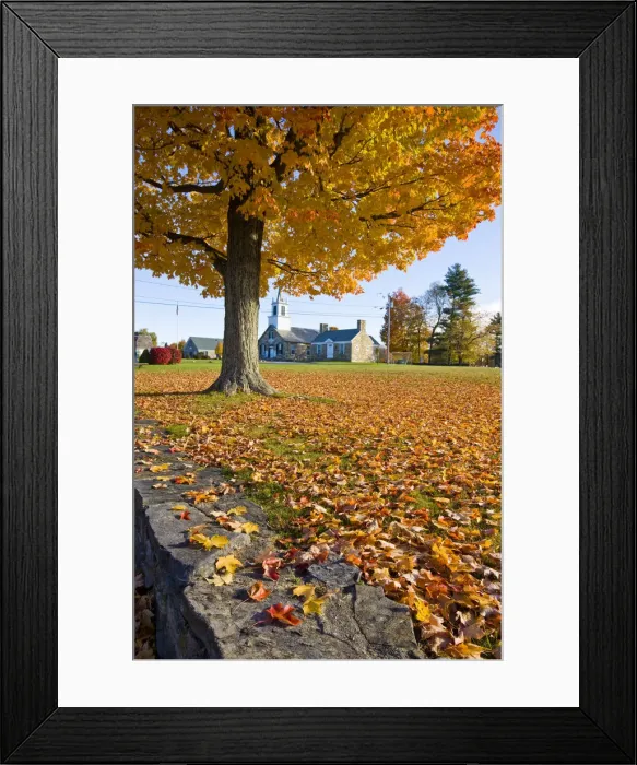 Framed Print : DDE-90039219 Framed Print : DDE-90039219