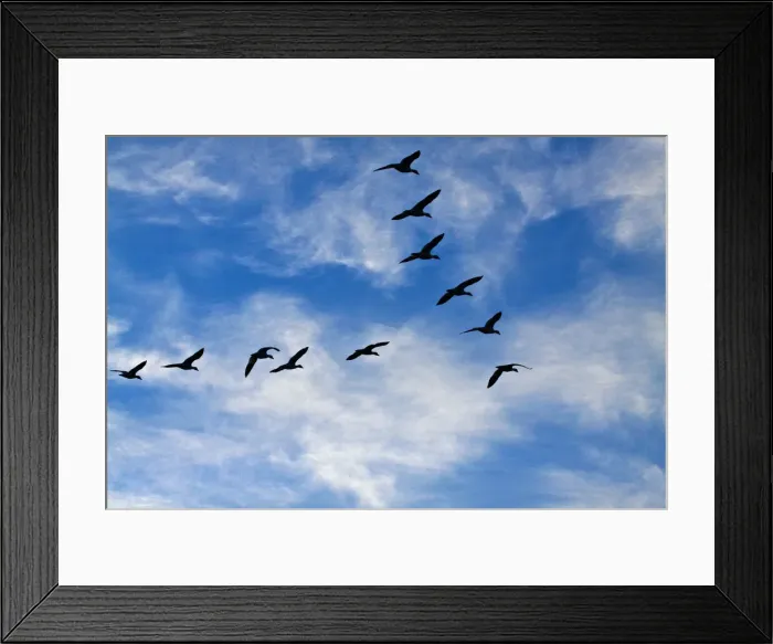 Framed Print : DDE-90039232 Framed Print : DDE-90039232