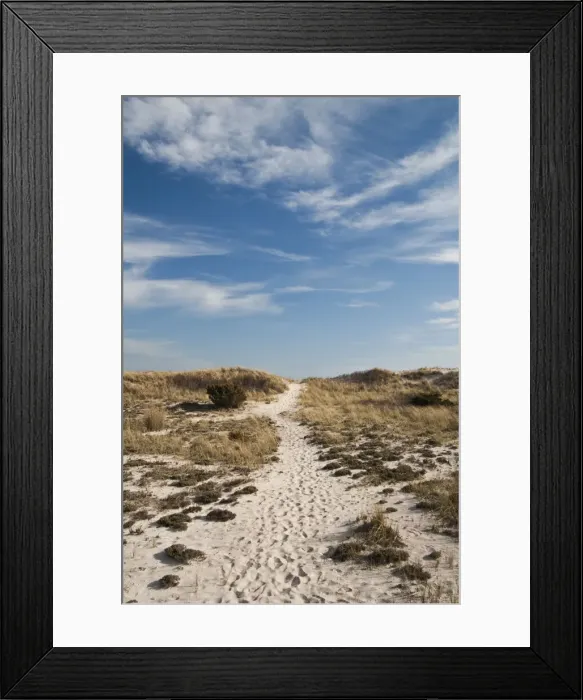 Framed Print : DDE-90039234 Framed Print : DDE-90039234