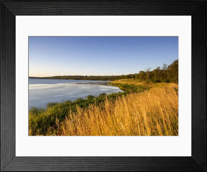 Framed Print : DDE-90039240