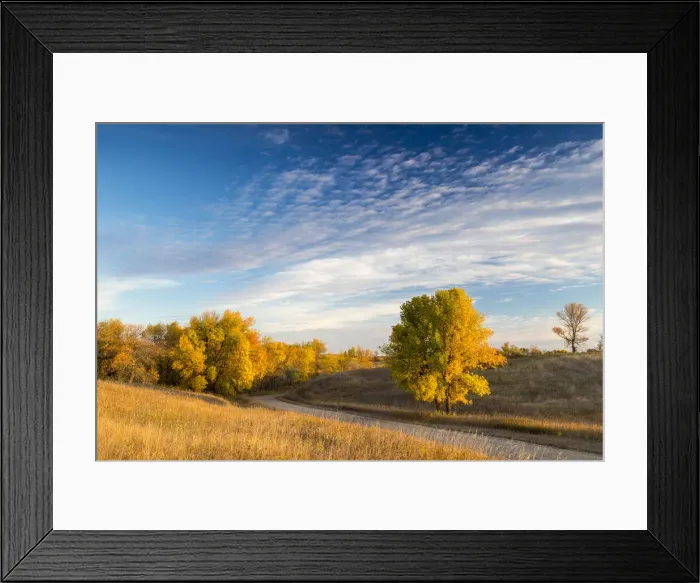 Framed Print : DDE-90039242 Framed Print : DDE-90039242