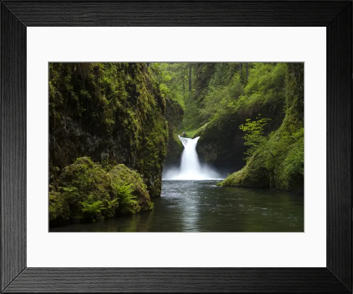 Framed Print : DDE-90039248 Framed Print : DDE-90039248