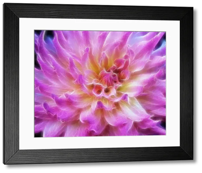 Framed Print : DDE-90039250 Framed Print : DDE-90039250