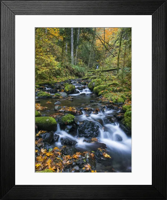 Framed Print : DDE-90039256 Framed Print : DDE-90039256