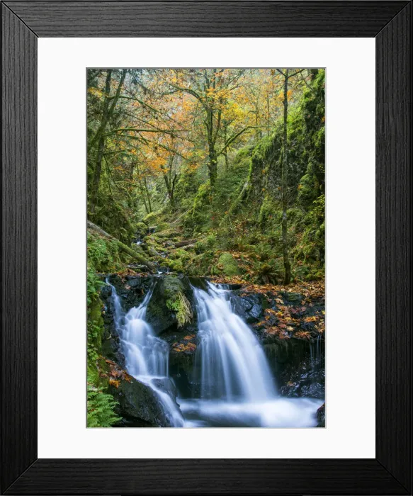 Framed Print : DDE-90039257 Framed Print : DDE-90039257