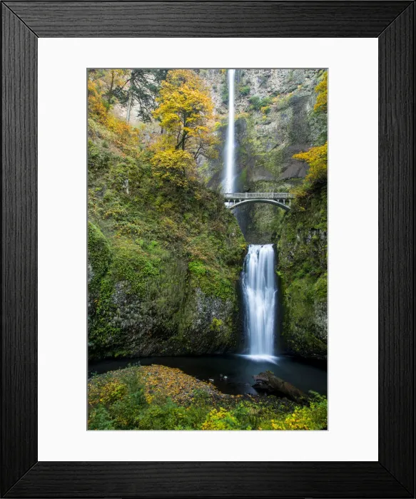 Framed Print : DDE-90039258 Framed Print : DDE-90039258