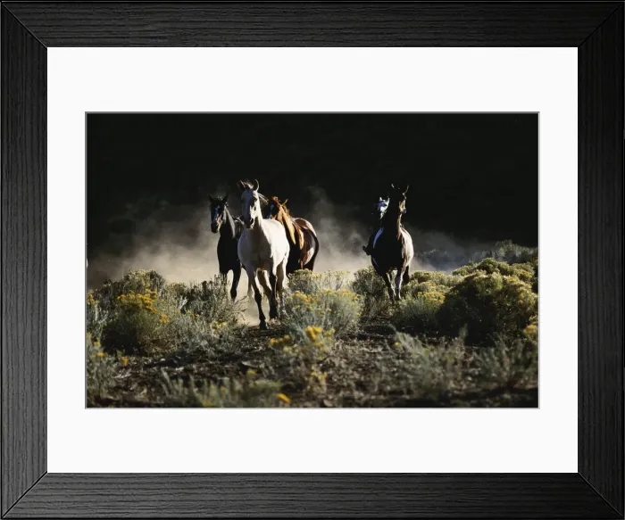 Framed Print : DDE-90039263 Framed Print : DDE-90039263