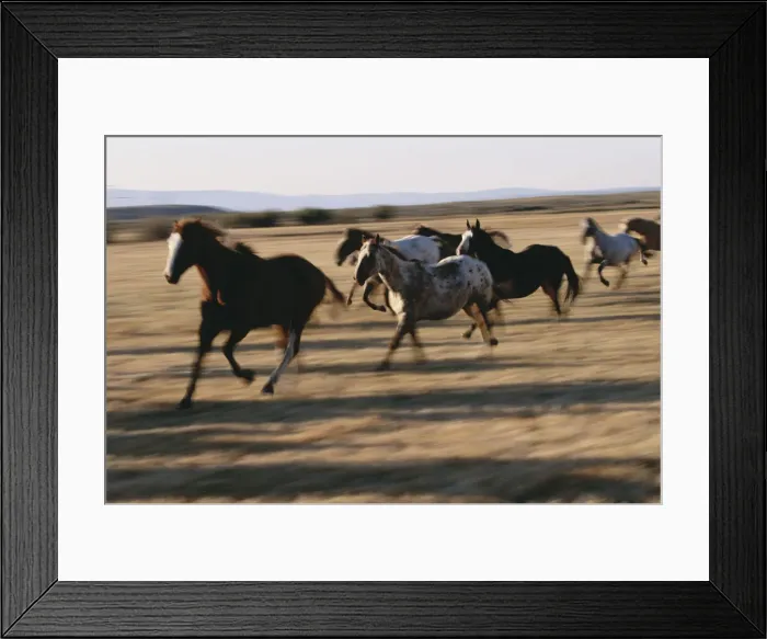Framed Print : DDE-90039264 Framed Print : DDE-90039264