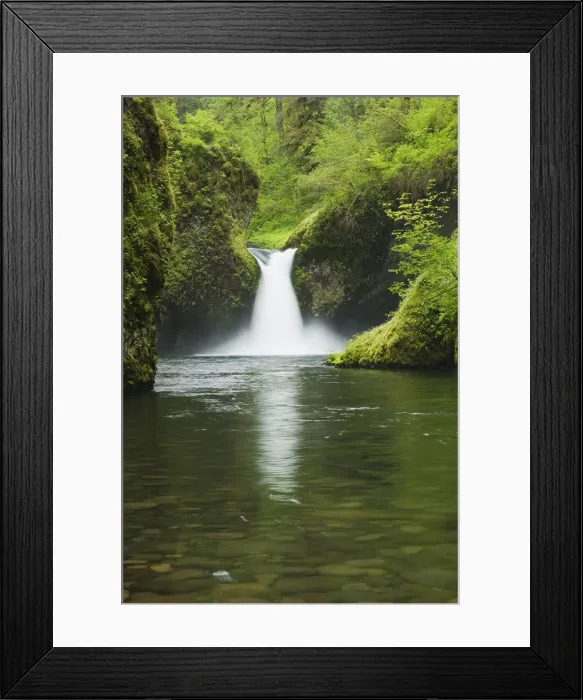 Framed Print : DDE-90039267 Framed Print : DDE-90039267