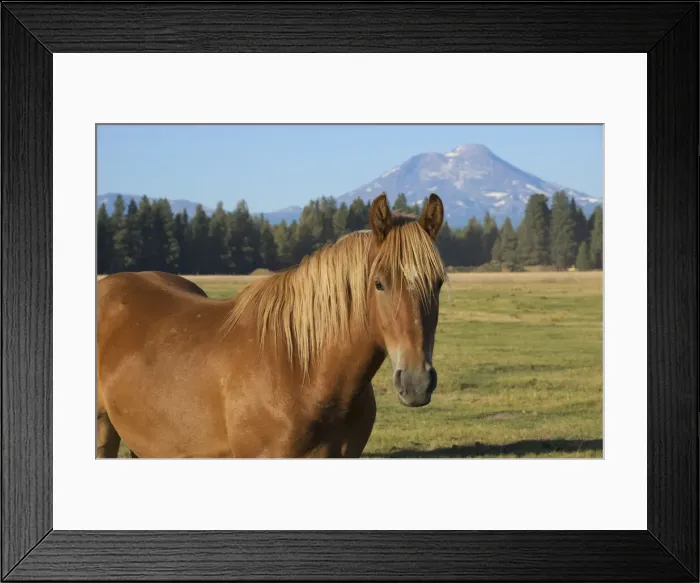 Framed Print : DDE-90039272 Framed Print : DDE-90039272