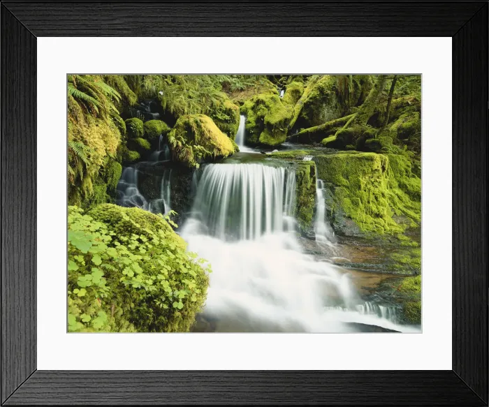 Framed Print : DDE-90039282 Framed Print : DDE-90039282