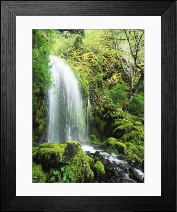 Framed Print : DDE-90039283 Framed Print : DDE-90039283