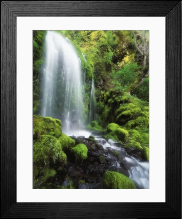 Framed Print : DDE-90039284 Framed Print : DDE-90039284