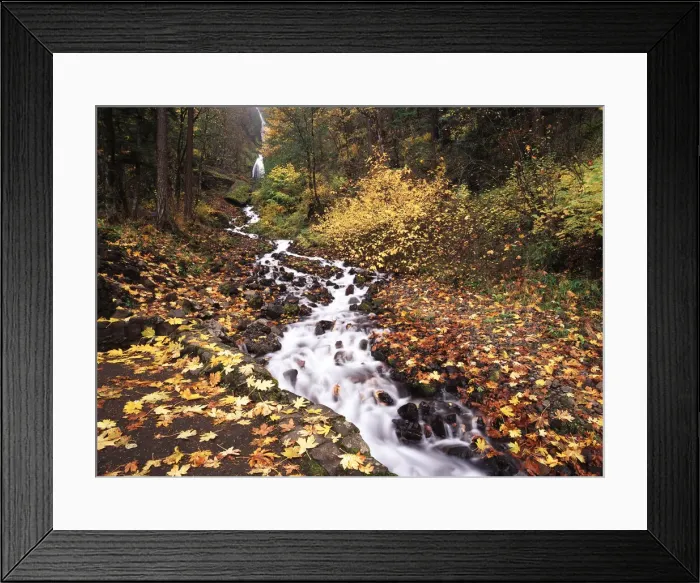Framed Print : DDE-90039285 Framed Print : DDE-90039285