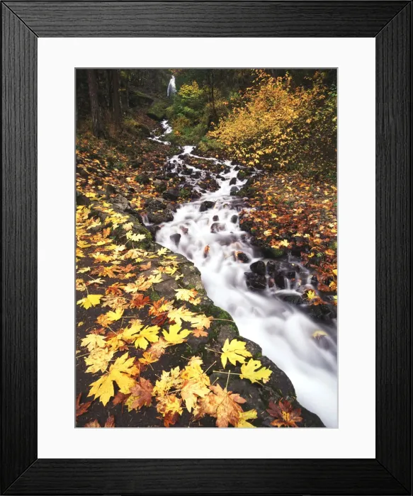Framed Print : DDE-90039286 Framed Print : DDE-90039286