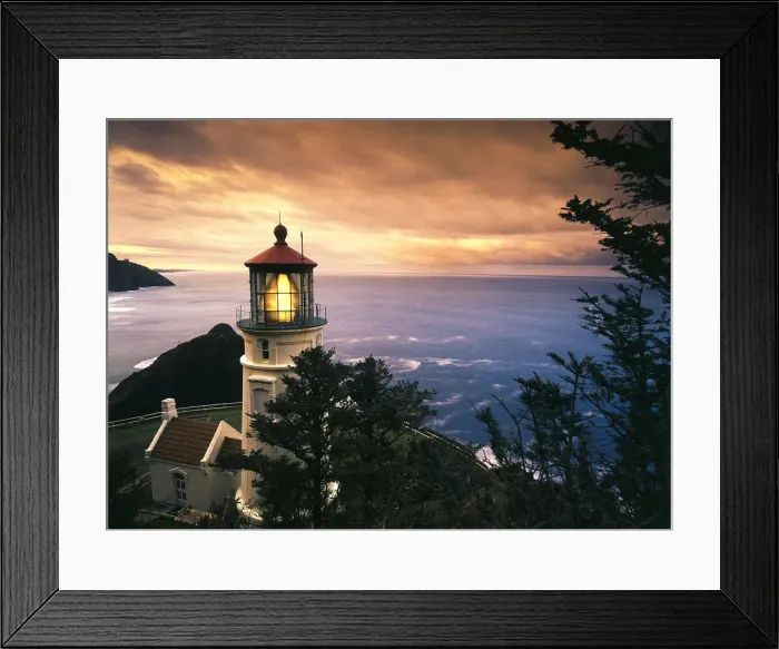Framed Print : DDE-90039289