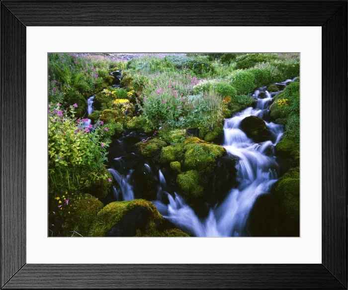 Framed Print : DDE-90039290 Framed Print : DDE-90039290