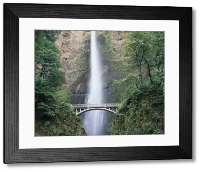 Framed Print : DDE-90039293 Framed Print : DDE-90039293