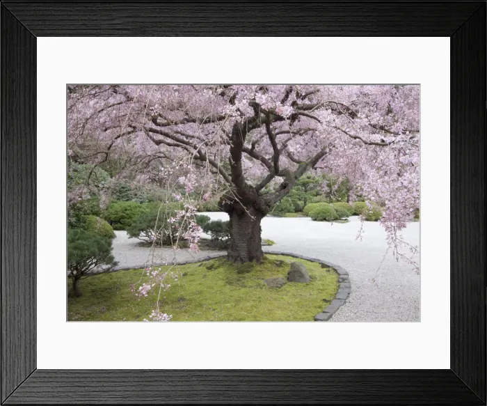 Framed Print : DDE-90039296 Framed Print : DDE-90039296