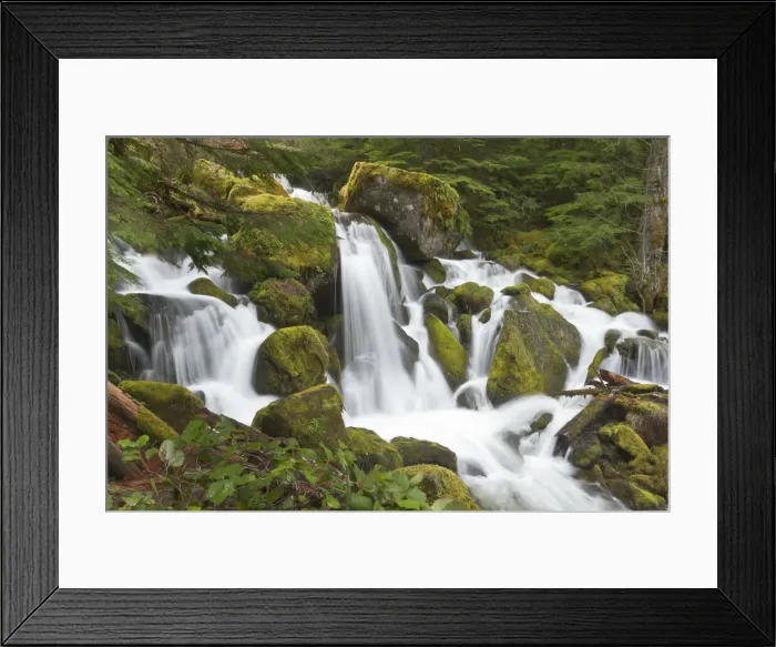 Framed Print : DDE-90039298 Framed Print : DDE-90039298