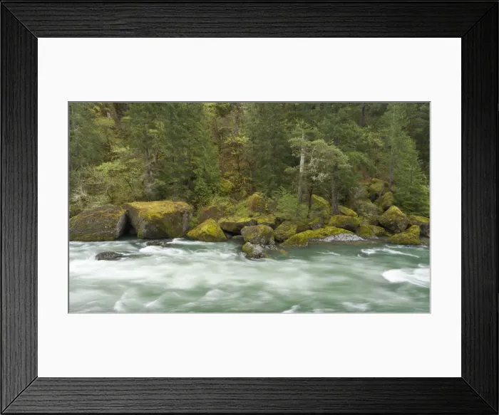 Framed Print : DDE-90039299