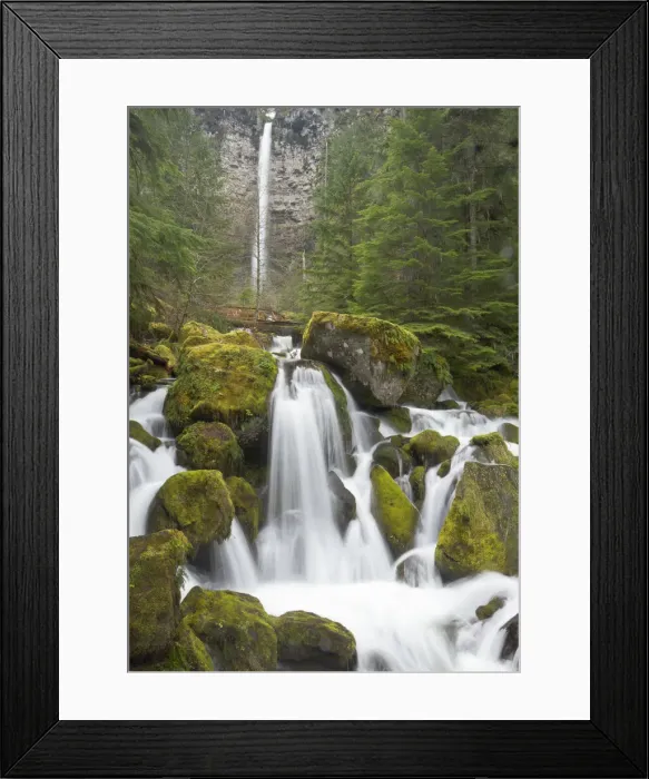 Framed Print : DDE-90039301 Framed Print : DDE-90039301