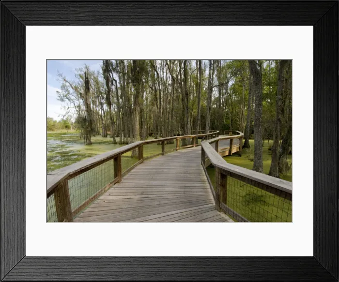 Framed Print : DDE-90039312 Framed Print : DDE-90039312