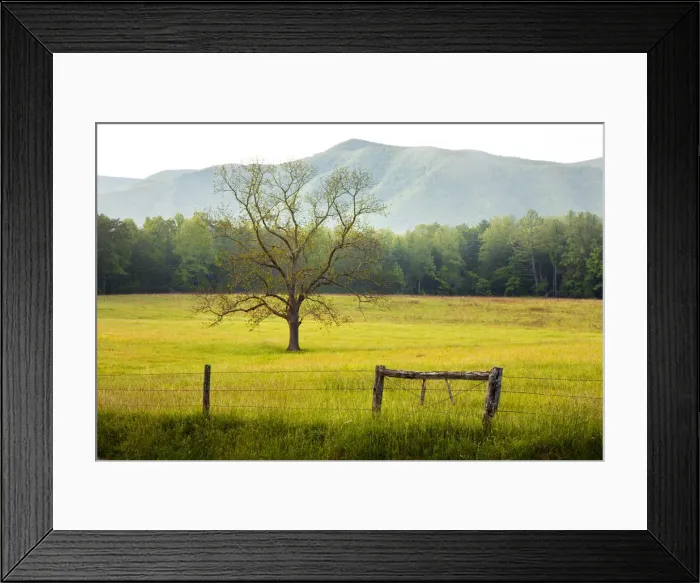 Framed Print : DDE-90039319 Framed Print : DDE-90039319