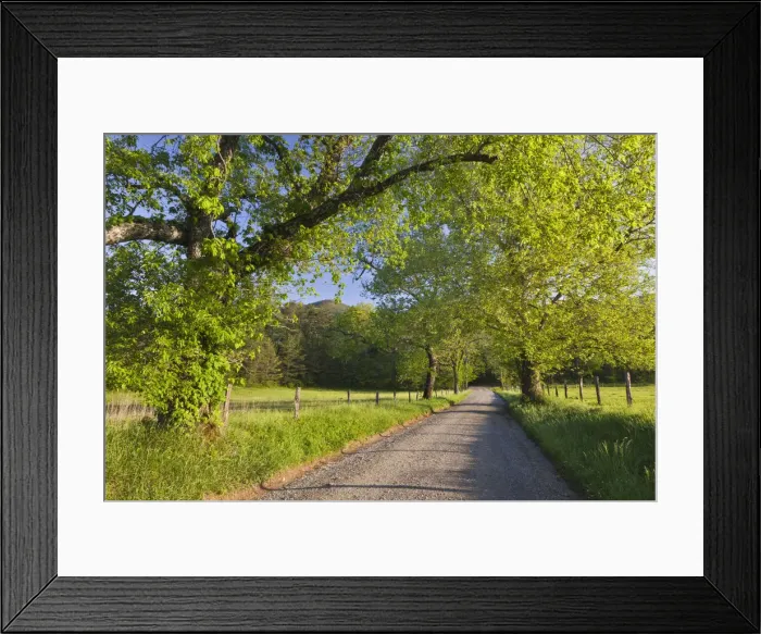 Framed Print : DDE-90039320 Framed Print : DDE-90039320