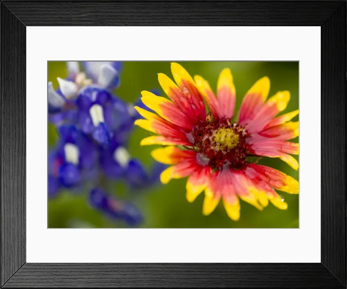 Framed Print : DDE-90039328 Framed Print : DDE-90039328