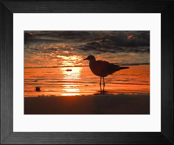 Framed Print : DDE-90039335