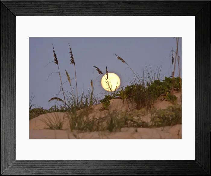 Framed Print : DDE-90039347 Framed Print : DDE-90039347