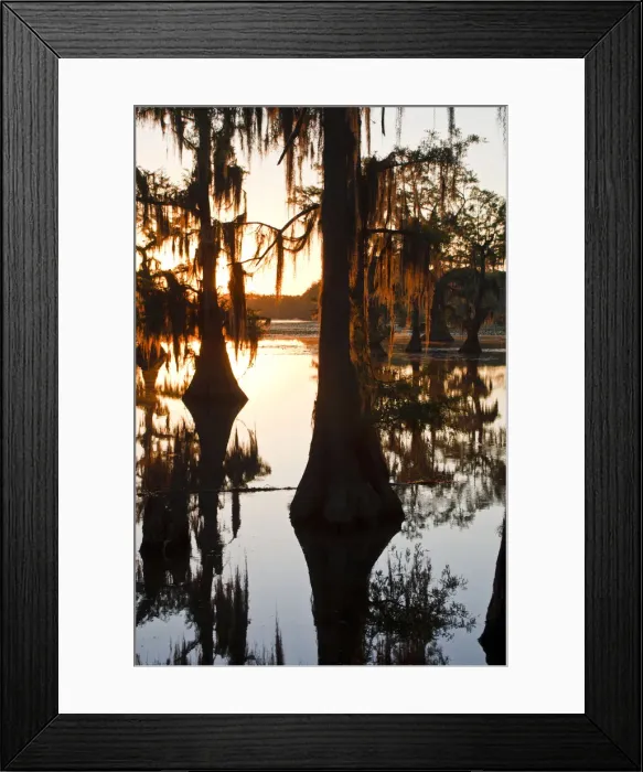 Framed Print : DDE-90039358 Framed Print : DDE-90039358