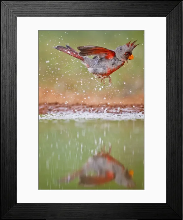 Framed Print : DDE-90039374 Framed Print : DDE-90039374
