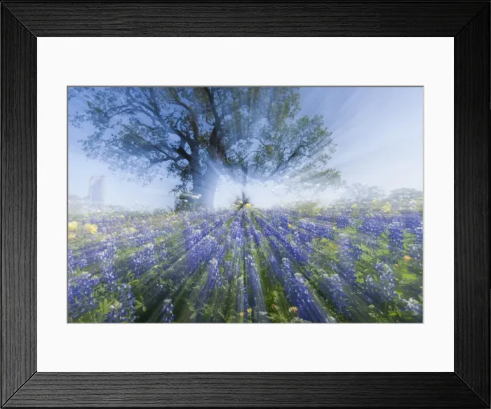Framed Print : DDE-90039406 Framed Print : DDE-90039406